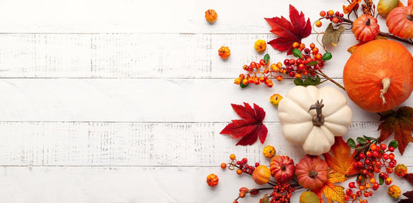 Easy & Nutritious Fall Recipes & Foraging Expeditions - Voya Skincare