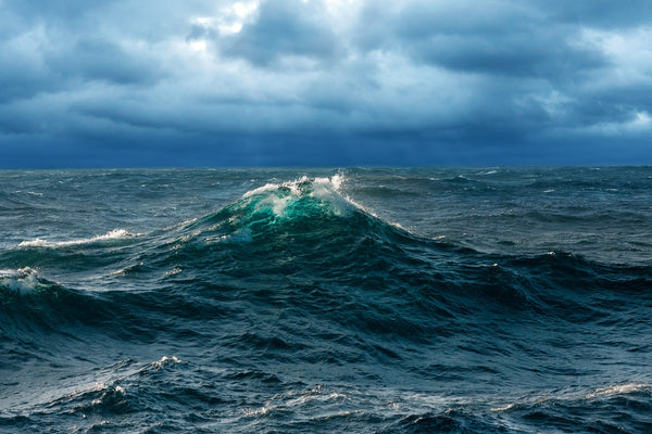 VOYA Supports World Ocean Day 2022 - VOYA Skincare