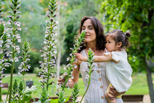 Why is the Power of Scent so Powerful? - VOYA Skincare