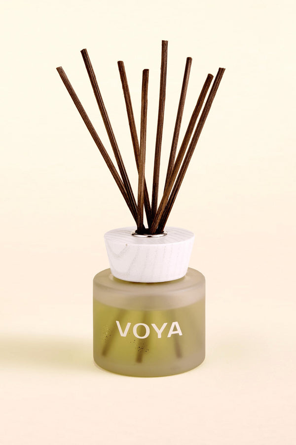 Oh So Scented Reed Diffuser | Coconut & Jasmine - Reed DiffusersVoya Skincare