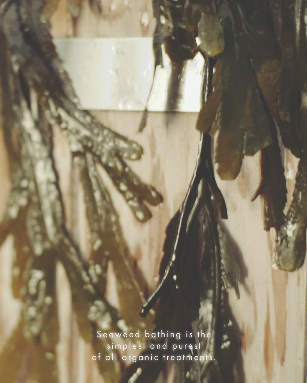 voya benefits of a seaweed bath